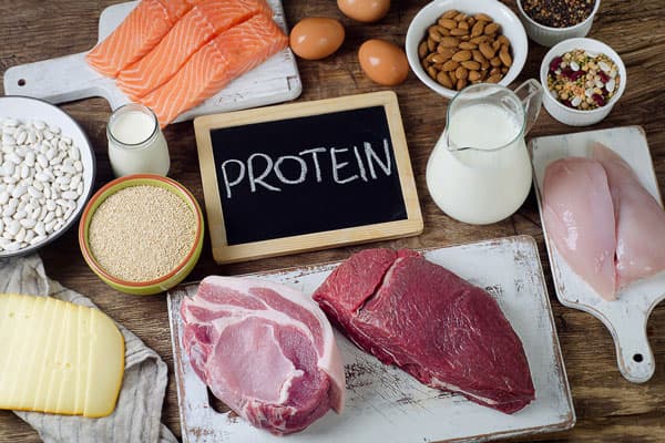 البروتين-ومصادره
